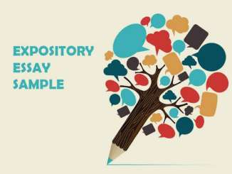 Expository Essay Sample